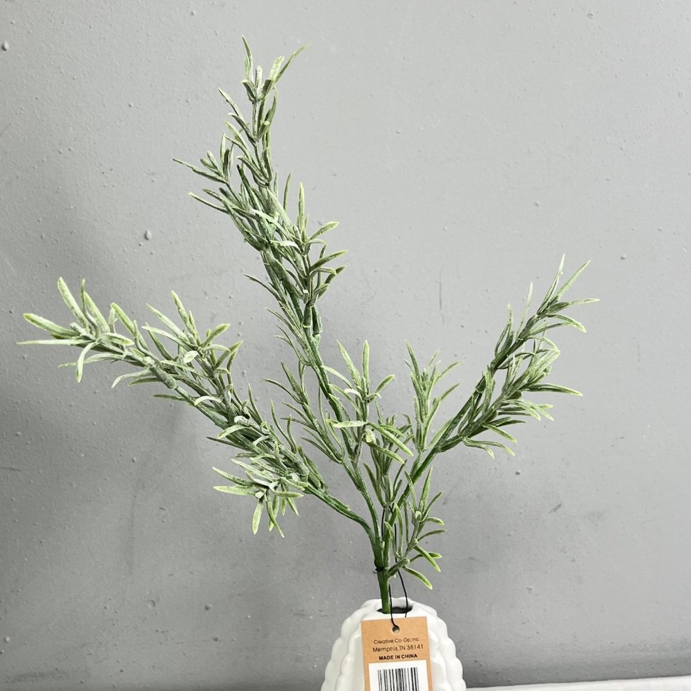 White Cactus Vase Rosemary Stem Creative Co-op Desert Succulent Decoration NWT - Picture 2 of 9